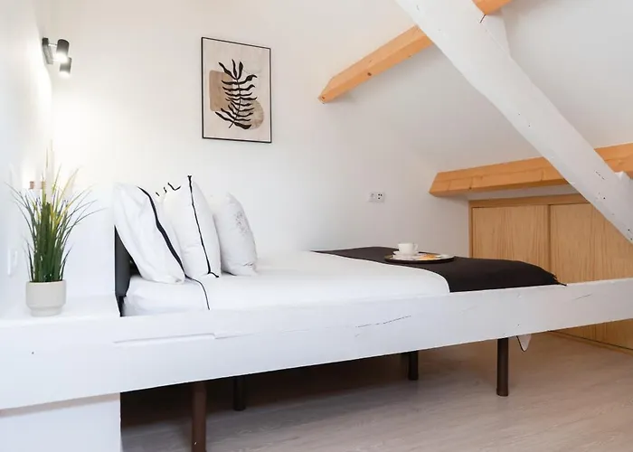 Διαμέρισμα Authentic With Terrace By Hostwise Πόρτο