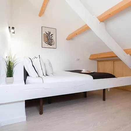 Apartament Authentic With Terrace By Hostwise Porto